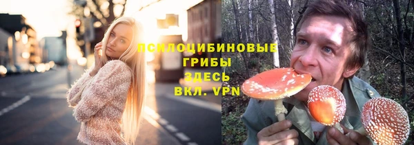 винт Балахна